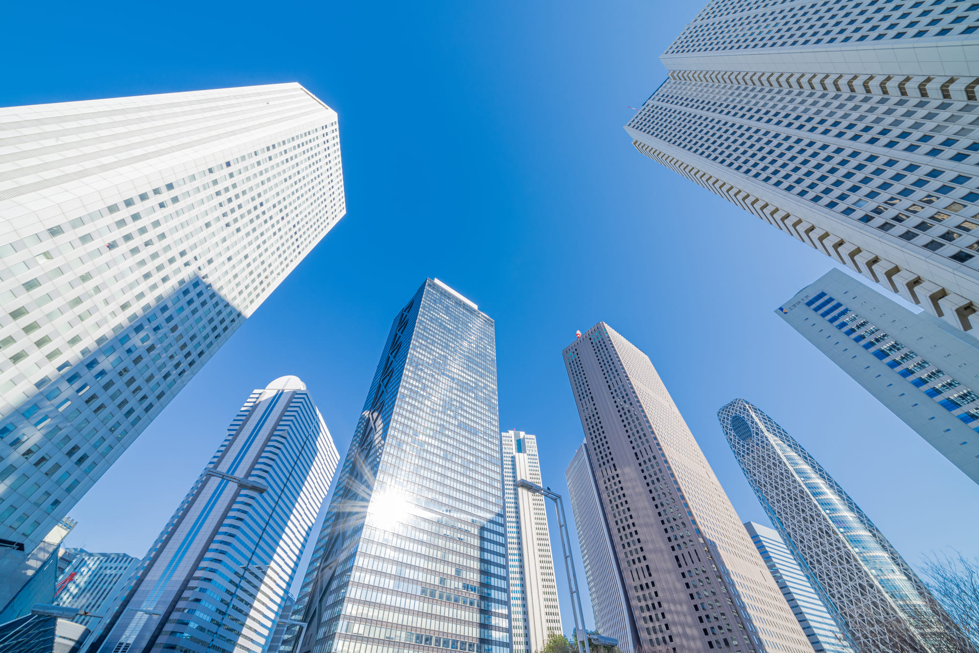 img-contribution-dammy